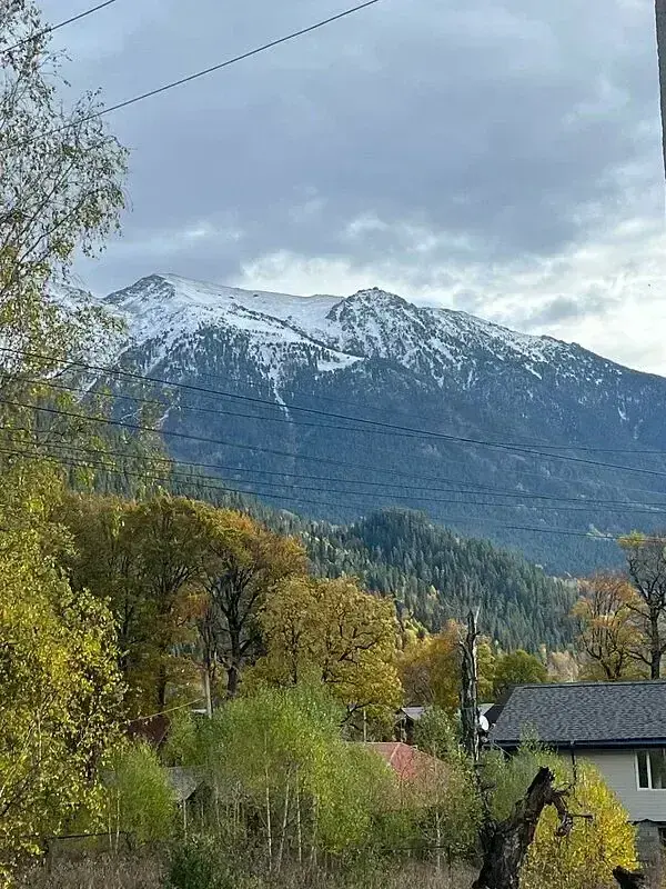 Далия, Республика Карачаево-Черкесия: фото 3