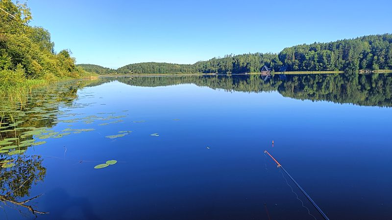 Фото 1 из отзыва о гостевом доме Остров Мейери