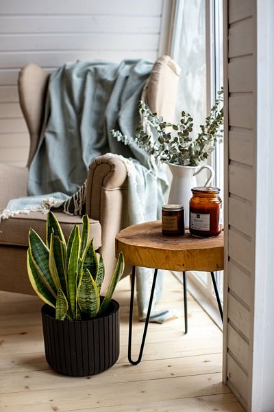 Экоферма Глушь, Московская область: фото 4