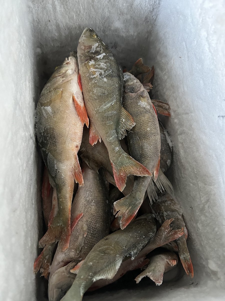 Фото 14 из отзыва о гостевом доме Хутор у залива