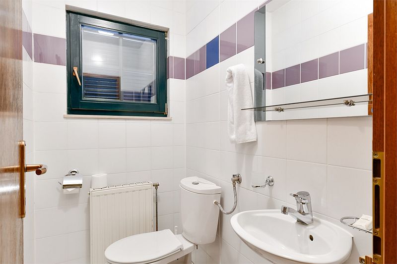 Коттедж 9-местный 5-комнатный 2-этажный (Словения)