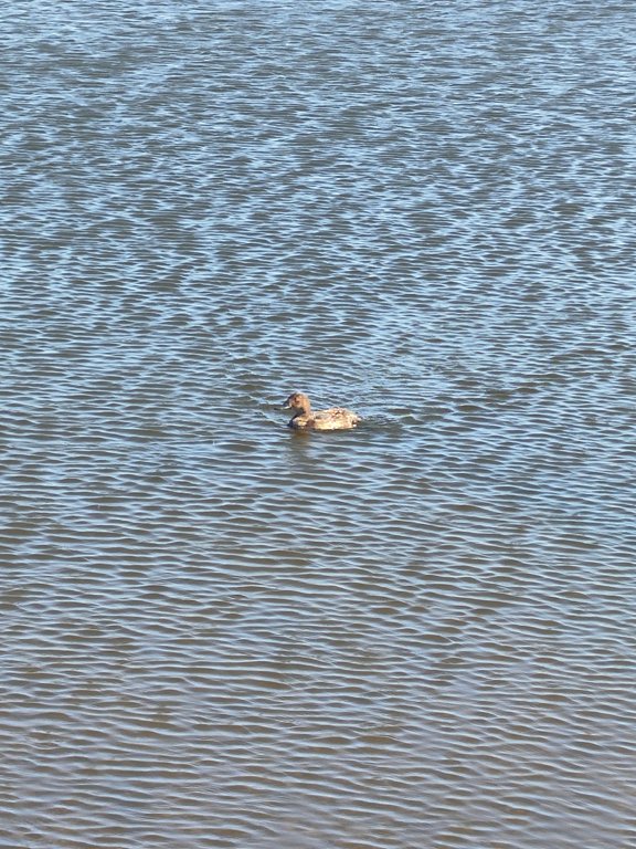 Фото из отзыва от 16.08.2024