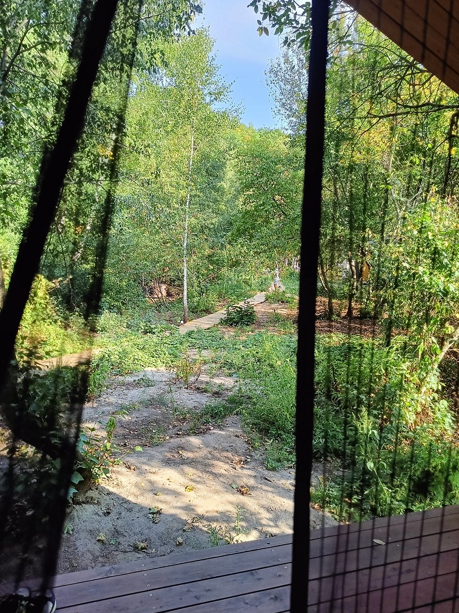 Фото 10 из отзыва о глэмпинге Глэмпинг-парк Лох-бро