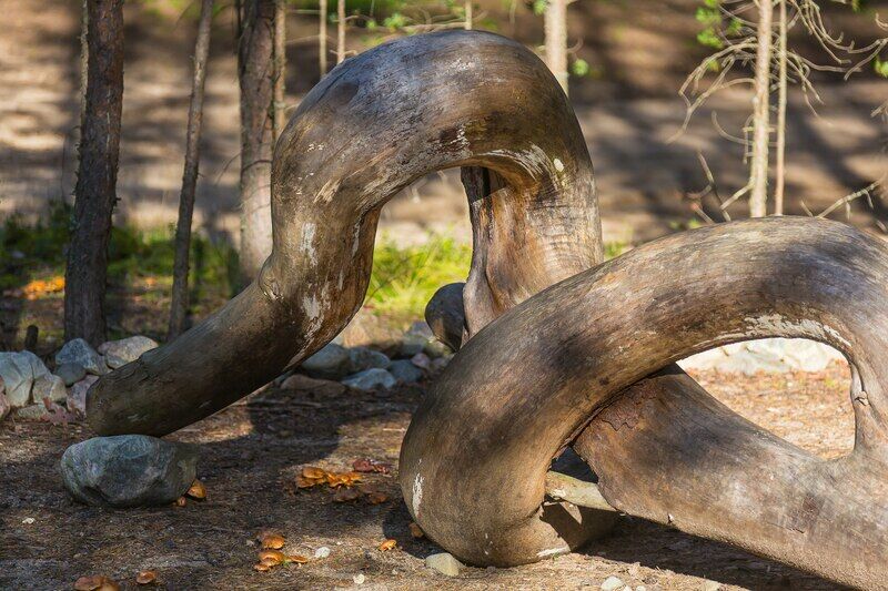 Карьяла Парк, Республика Карелия: фото 5