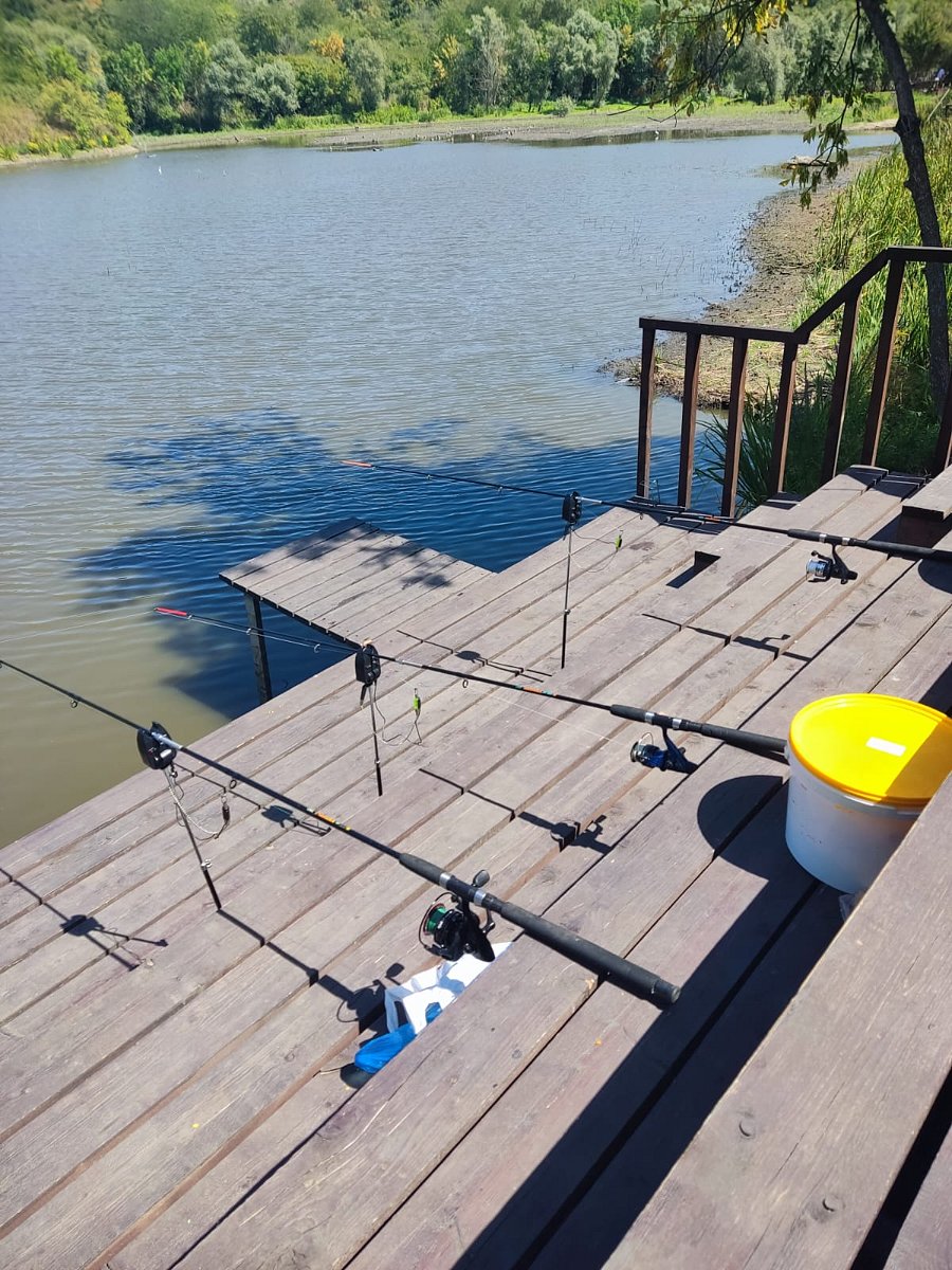 Фото 10 из отзыва о базе отдыха Приозерье