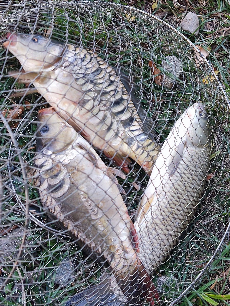 Фото 6 из отзыва о базе отдыха Приозерье