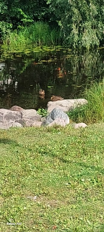 Фото из отзыва от 23.08.2024