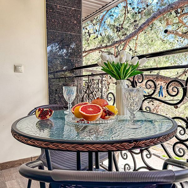 Люкс 2-местный (с балконом, вид на сосны)