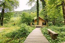 Люкс, Глэмпинг и СПА Лес, Сочи