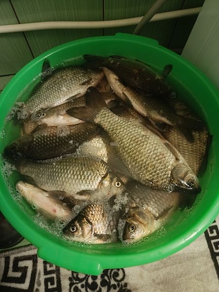 Фото 4 из отзыва о базе отдыха Мёд