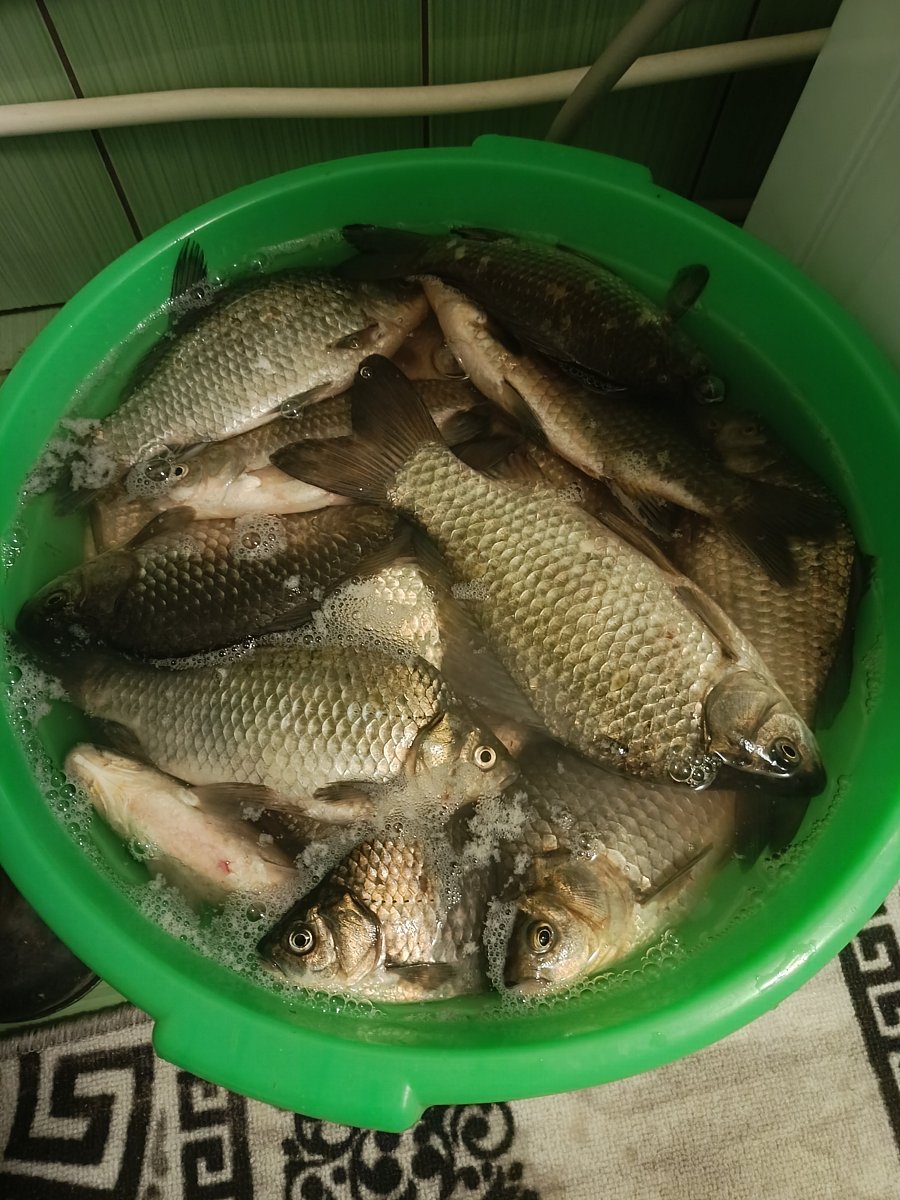 Фото 10 из отзыва о базе отдыха Мёд