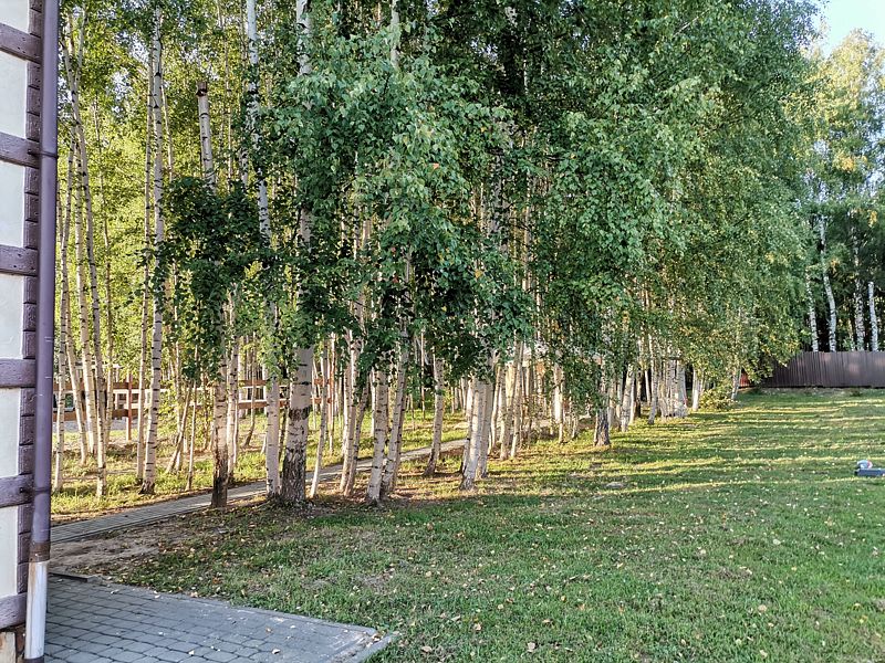 Фото 2 из отзыва о доме в аренду Вишневый сад