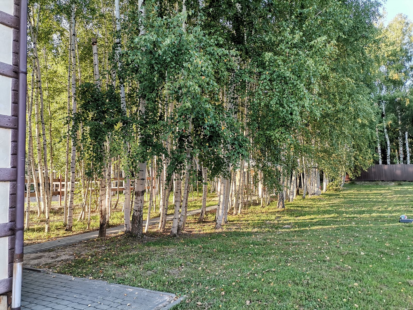 Фото 2 из отзыва о доме в аренду Вишневый сад