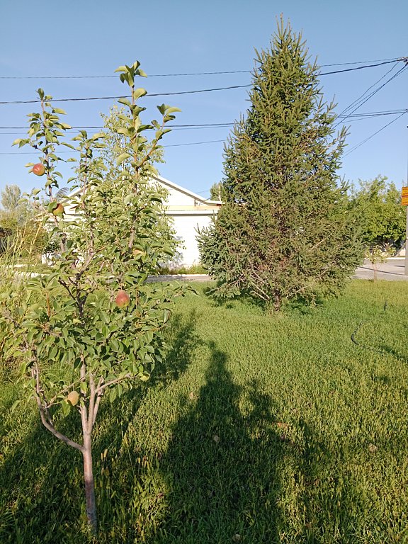 Фото из отзыва от 20.08.2024