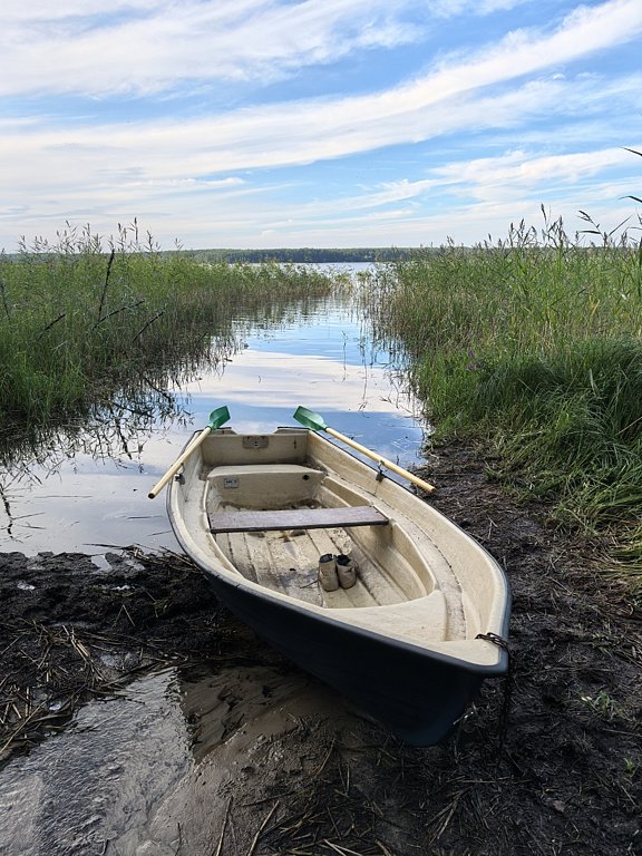 Фото из отзыва от 19.08.2024