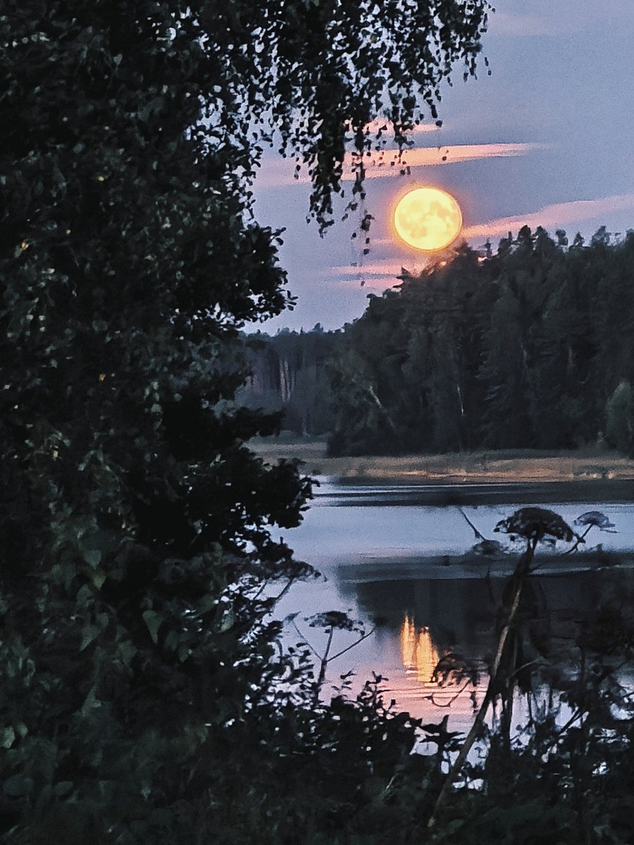 Фото 9 из отзыва о коттеджном комплексе Домик у озера