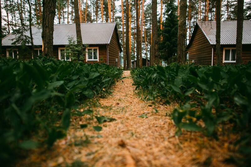 Duck Lake, Витебская область: фото 2