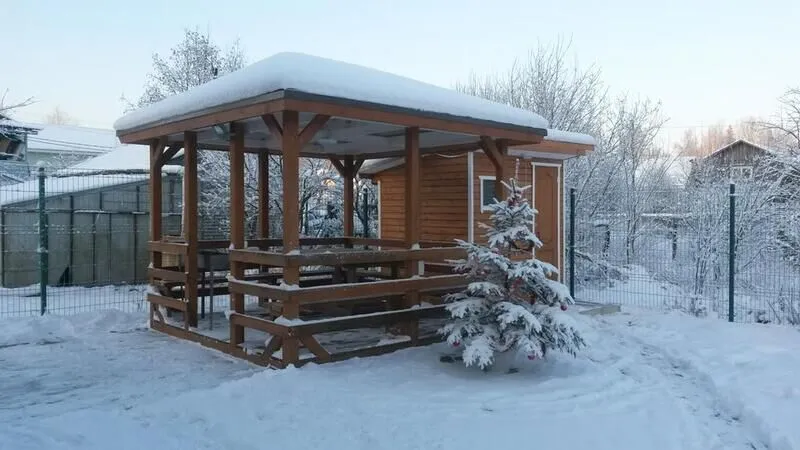Совушкино гнездо, Ленинградская область: фото 3