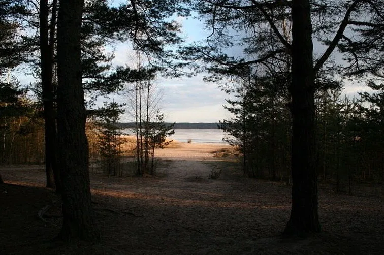 Лена, Ленинградская область: фото 2