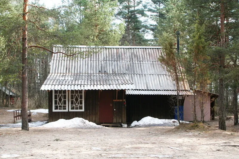 Лена, Ленинградская область: фото 4