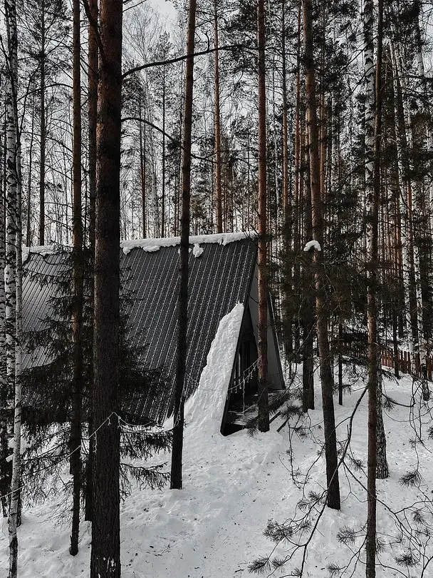 Время леса, Свердловская область: фото 5