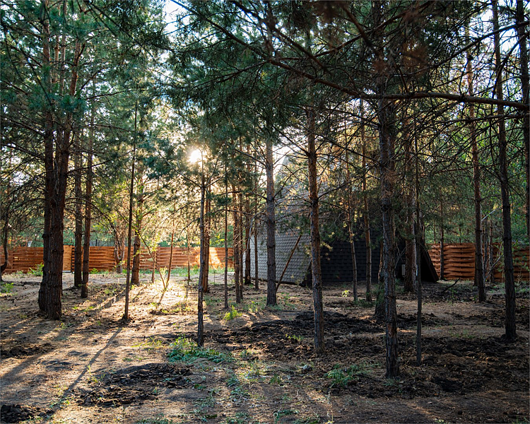 Сосенки Lounge, Самарская область: фото 2