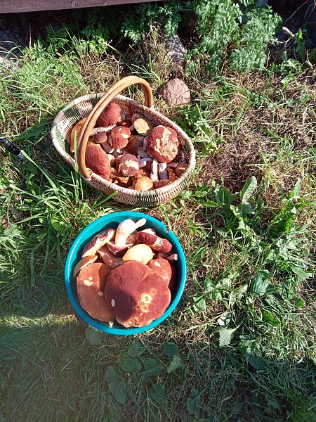 Фото 4 из отзыва о гостевом доме Твоё озеро