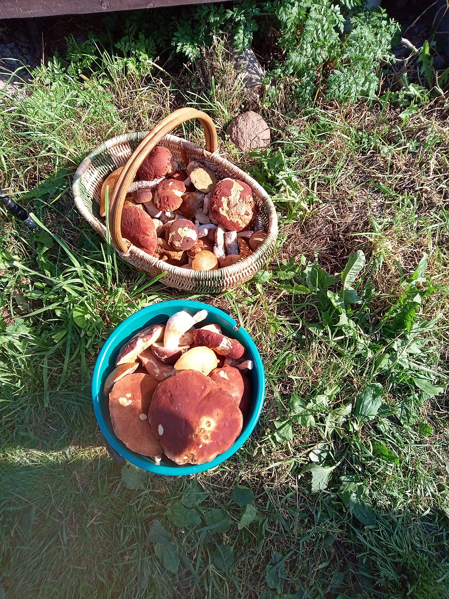 Фото 15 из отзыва о гостевом доме Твоё озеро