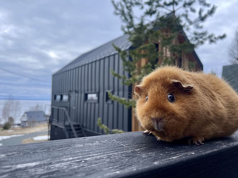 База отдыха ALDI-Karelia, поселок Сяпся, Республика Карелия