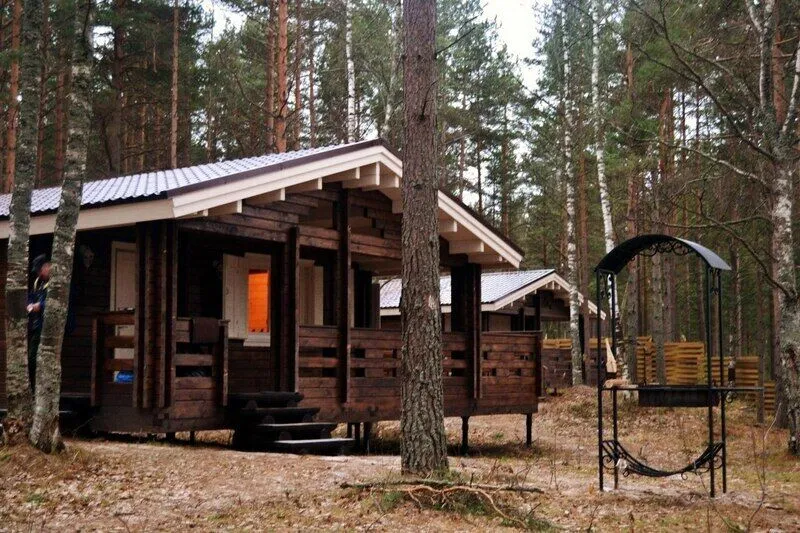 Золотой берег, Ленинградская область: фото 3