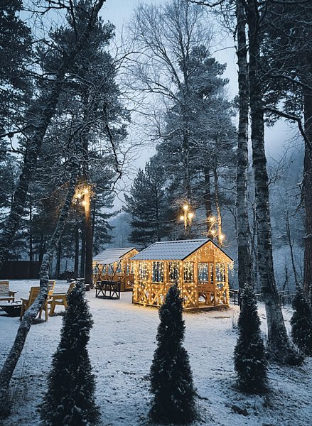 Хвоя, Республика Карачаево-Черкесия: фото 4