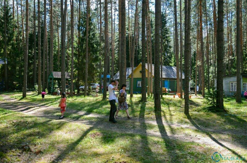 Гребешок, Нижегородская область: фото 2