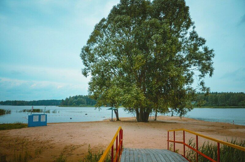 Гребешок, Нижегородская область: фото 3