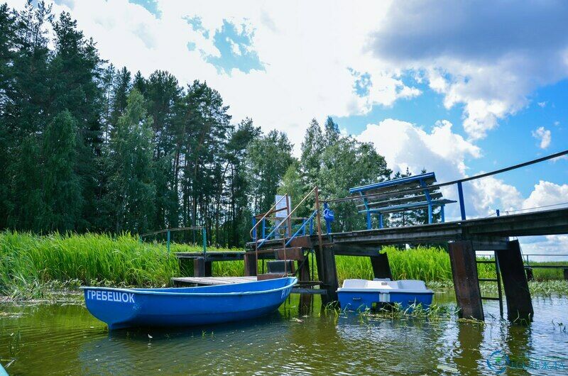 Гребешок, Нижегородская область: фото 4
