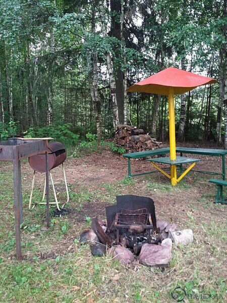 Гребешок, Нижегородская область: фото 5