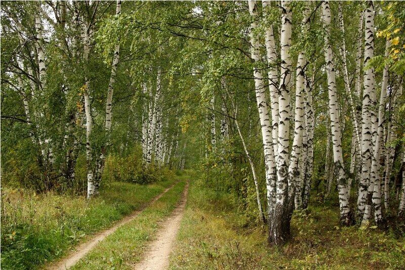 Благодатное, Нижегородская область: фото 5