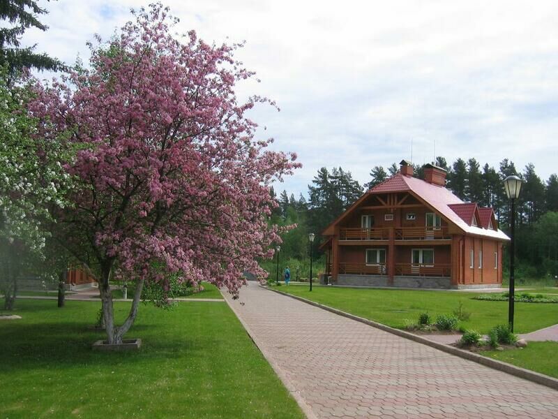 Голубой Факел, Новгородская область: фото 3