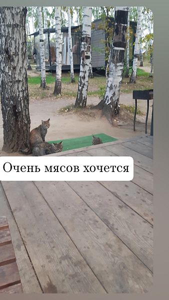 Фото 1 из отзыва о базе отдыха Философия отдыха