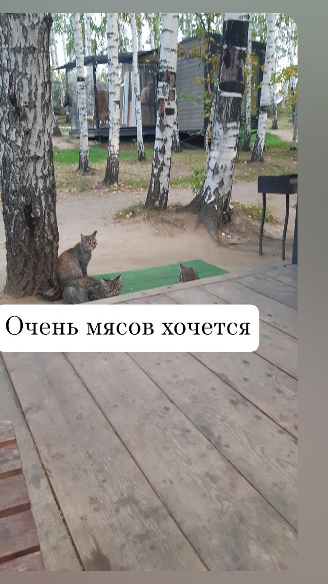 Фото 42 из отзыва о базе отдыха Философия отдыха