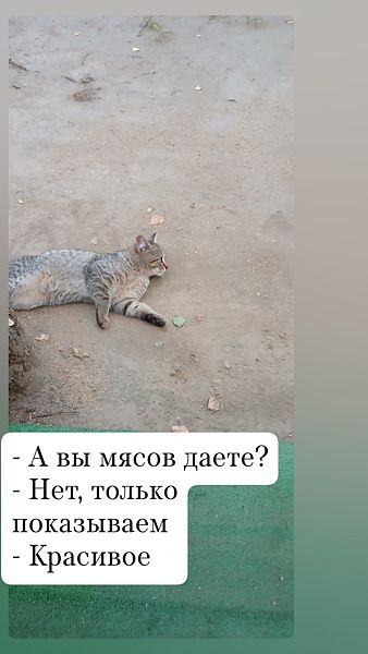 Фото 2 из отзыва о базе отдыха Философия отдыха