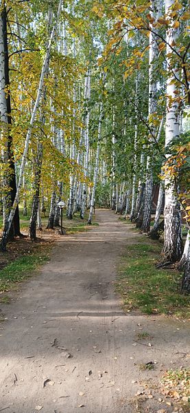 Фото 3 из отзыва о базе отдыха Философия отдыха