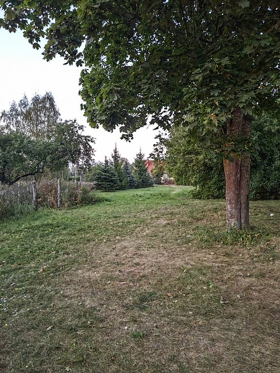 Фото из отзыва от 06.09.2024