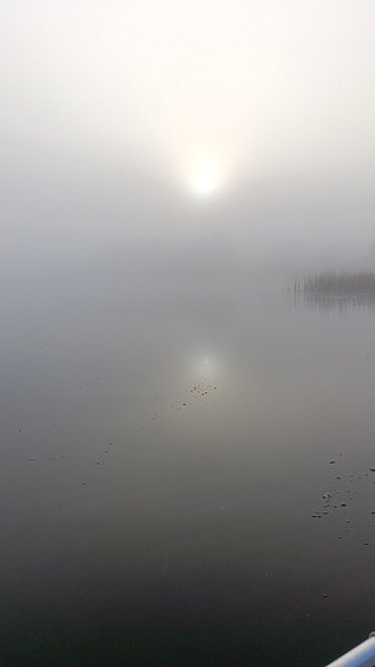 Фото 1 из отзыва о гостевом доме Твоё озеро