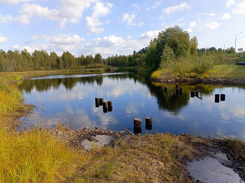 Фото 2 из отзыва о гостевом доме Твоё озеро