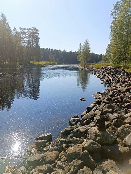 Фото 7 из отзыва о гостевом доме Твоё озеро