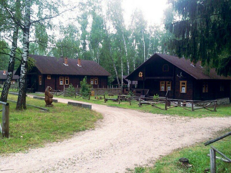 Чайка, Московская область: фото 2