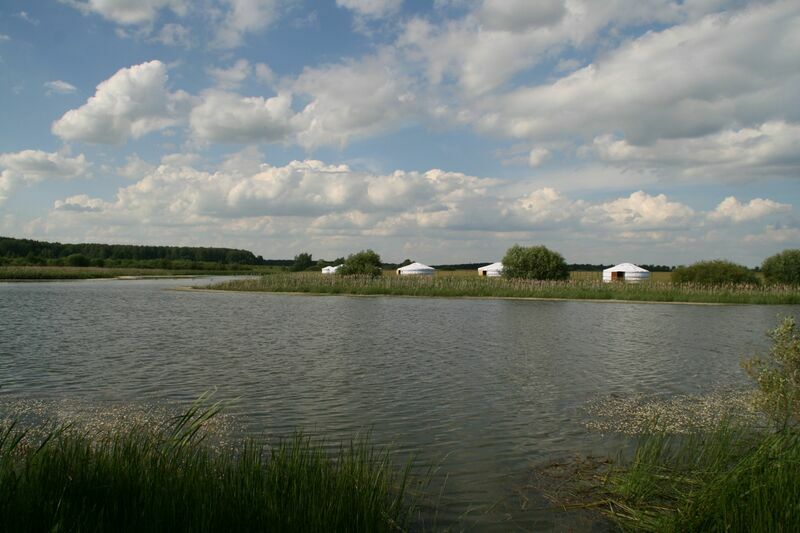 Баскак, Московская область: фото 5