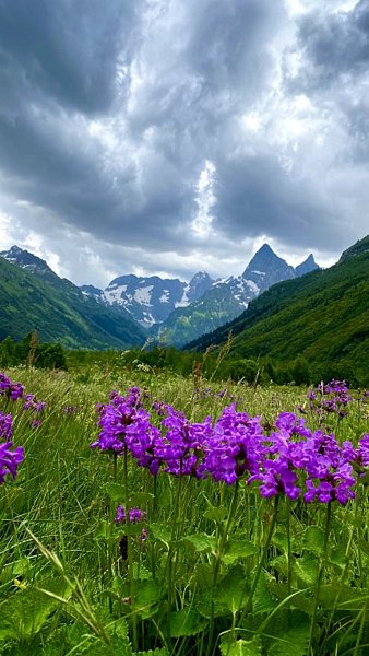 Аура гор, Республика Карачаево-Черкесия: фото 5