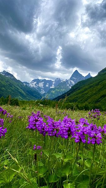 Аура гор, Республика Карачаево-Черкесия: фото 5