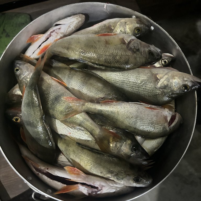 Фото из отзыва от 07.09.2024